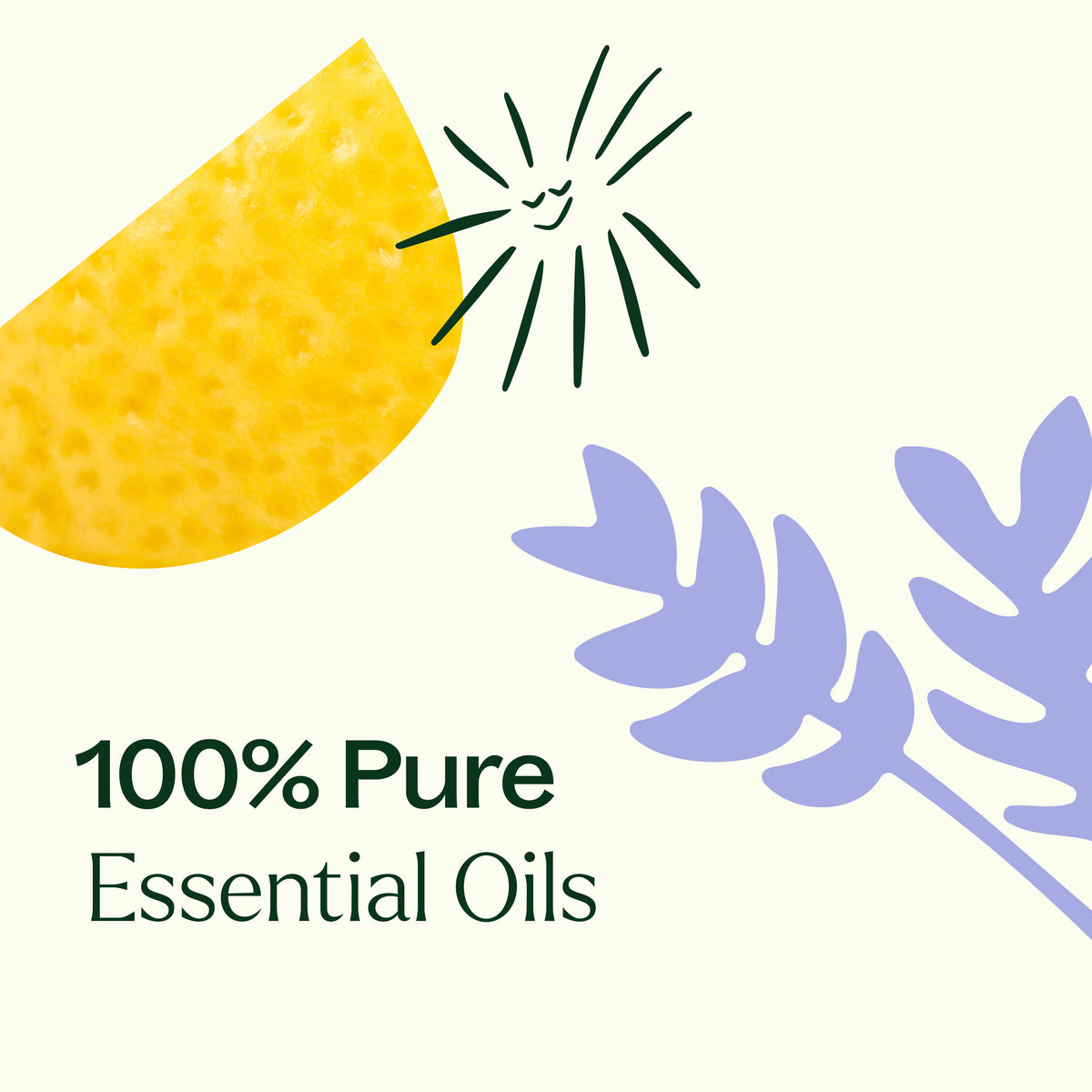 Plant Therapy Essential Oils