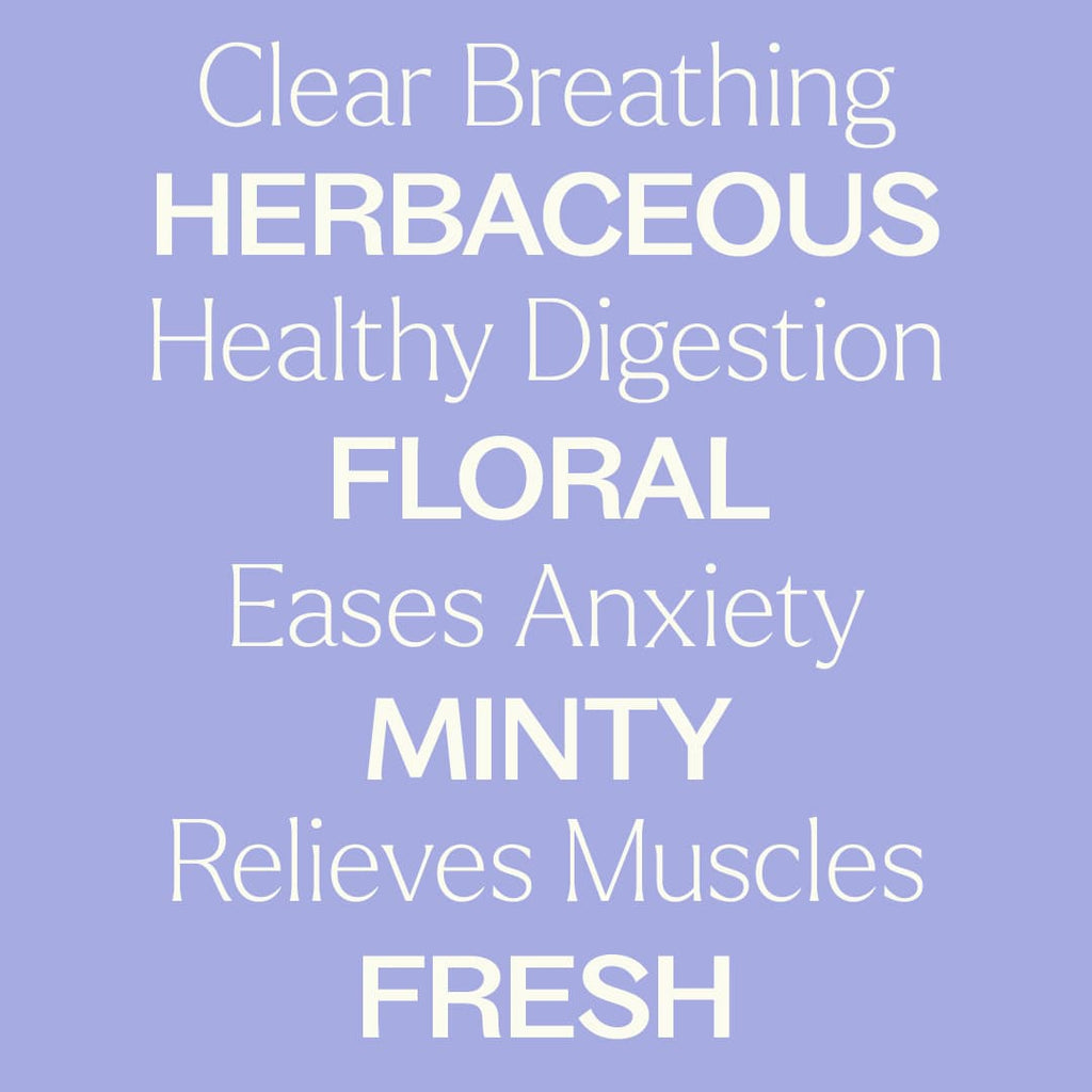 Catnip Essential Oil