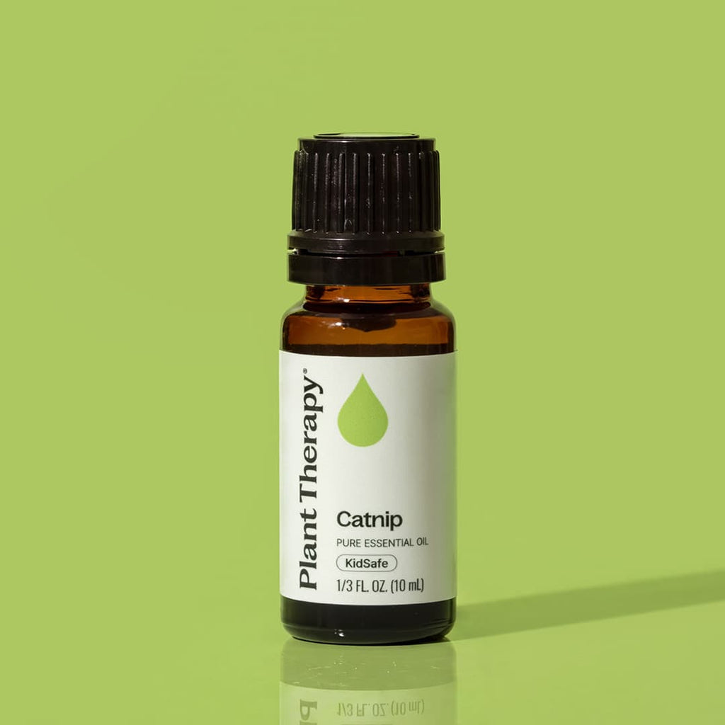 Catnip Essential Oil