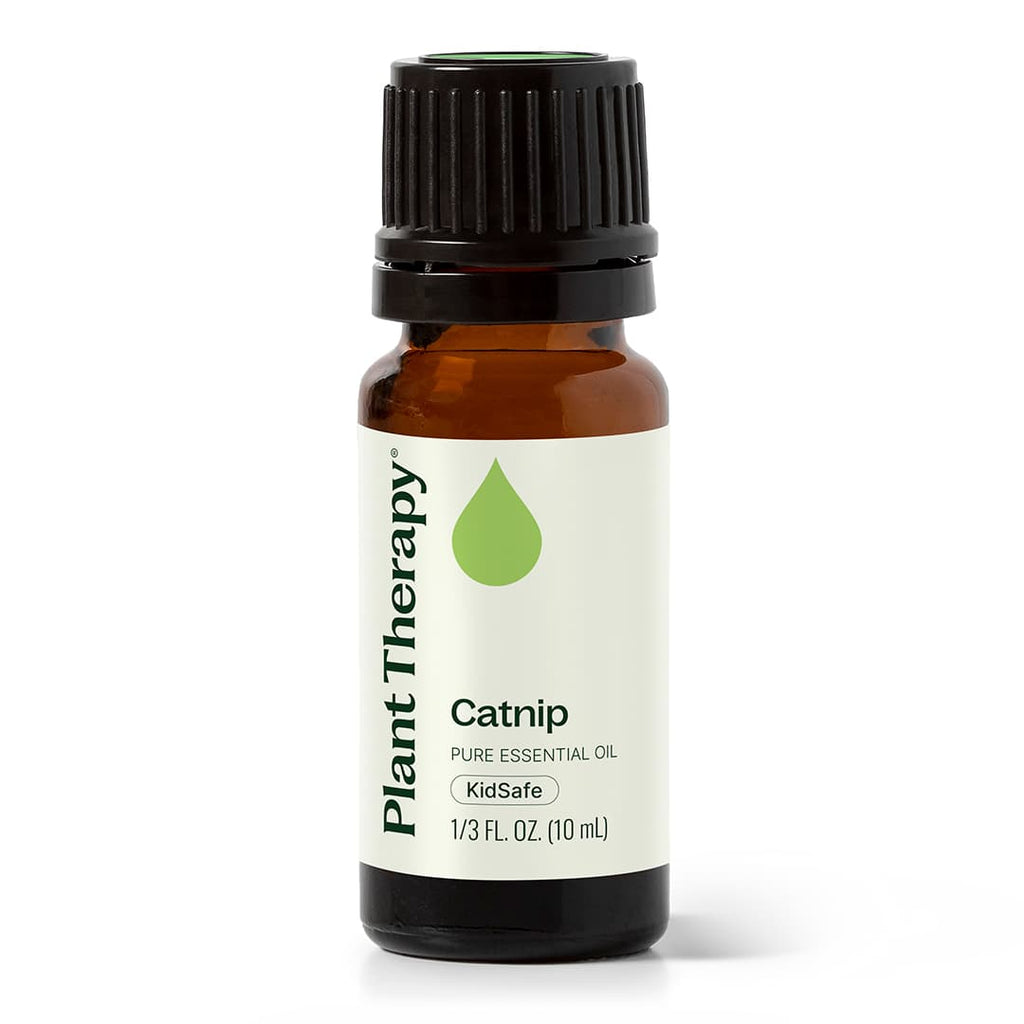 Catnip Essential Oil