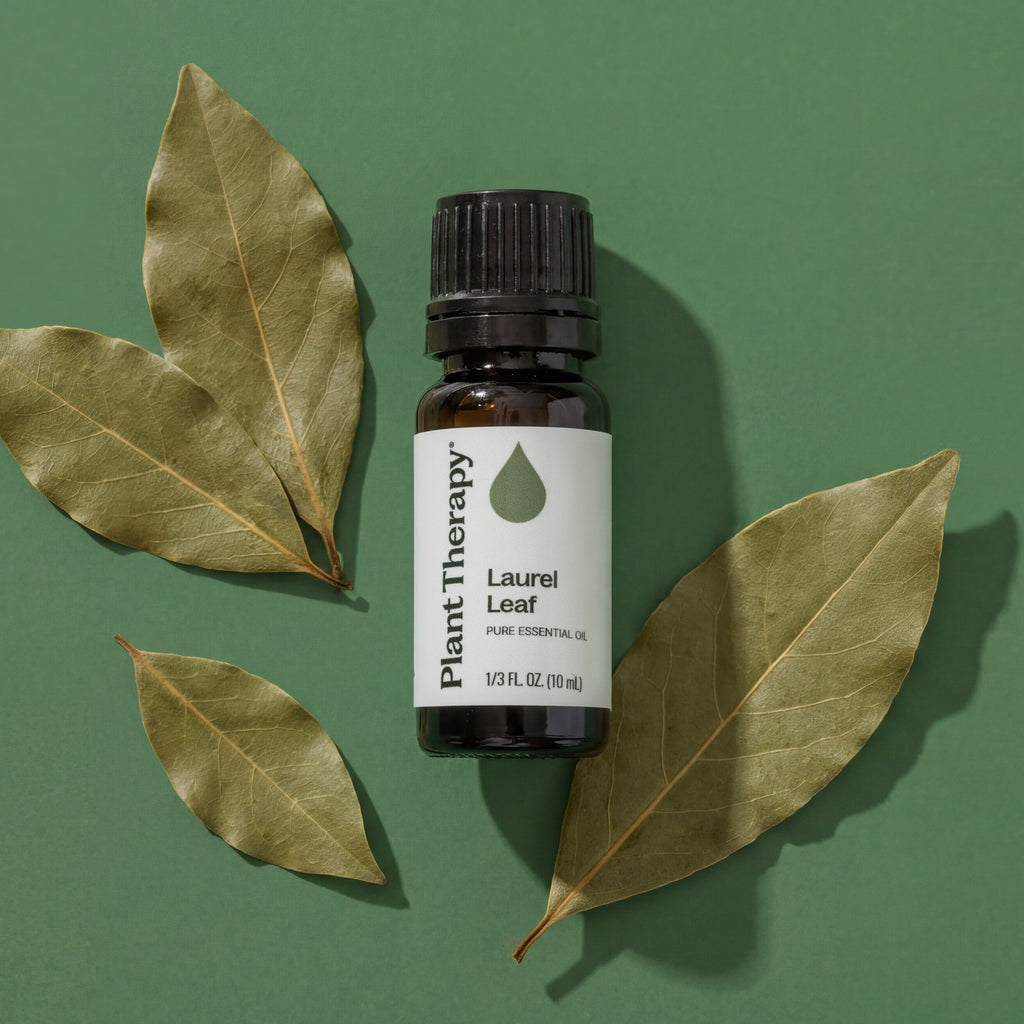 Laurel Leaf Essential Oil