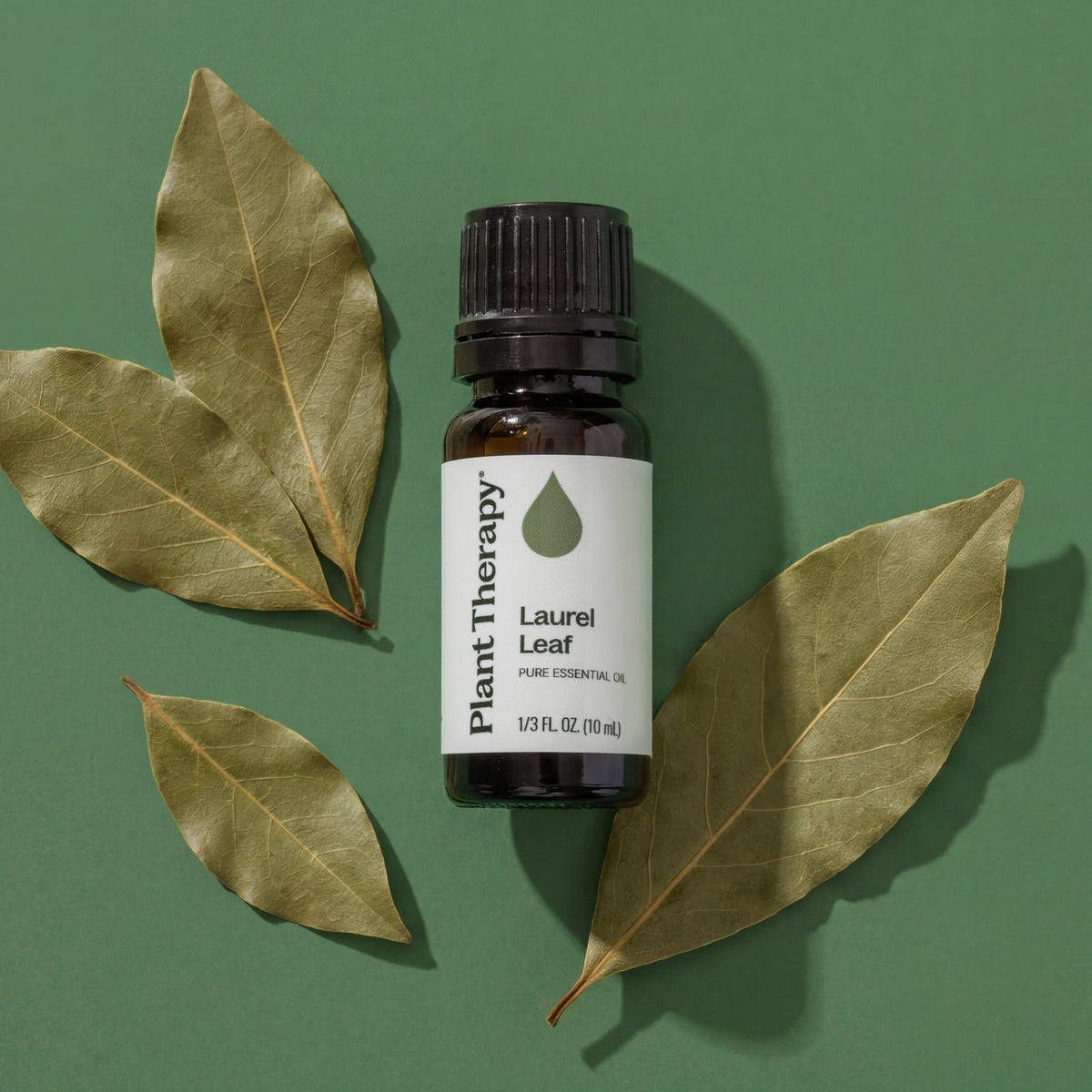 Laurel Leaf Essential Oil