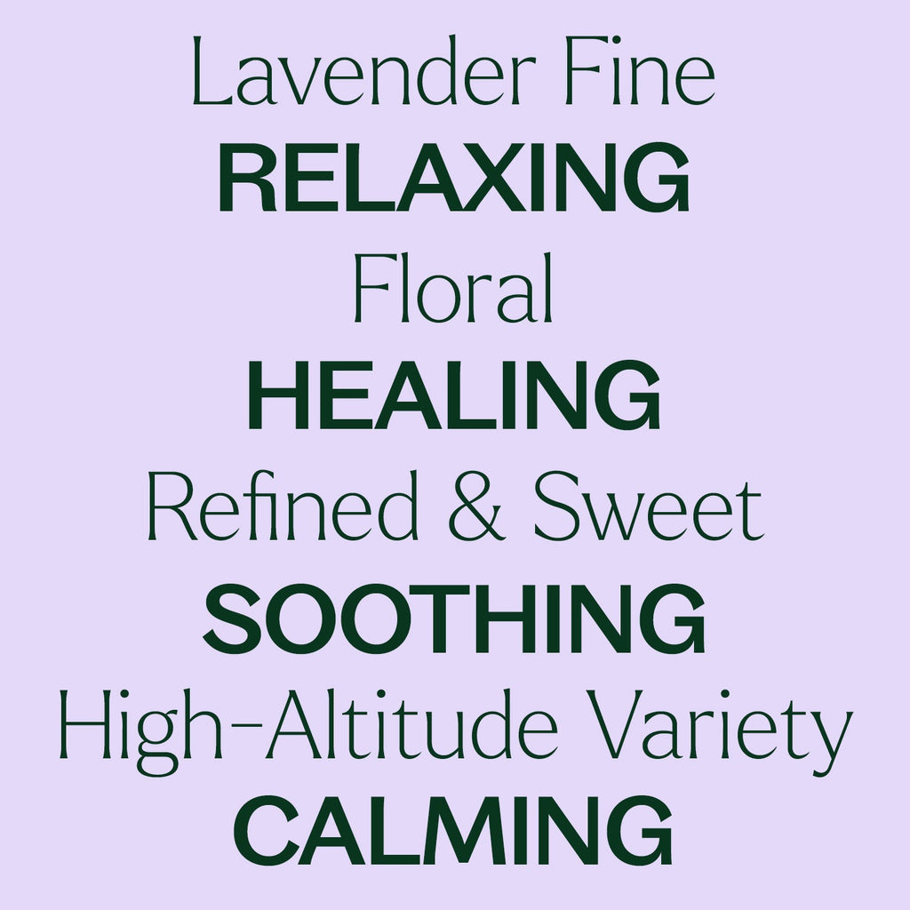 Lavender Fine Essential Oil
