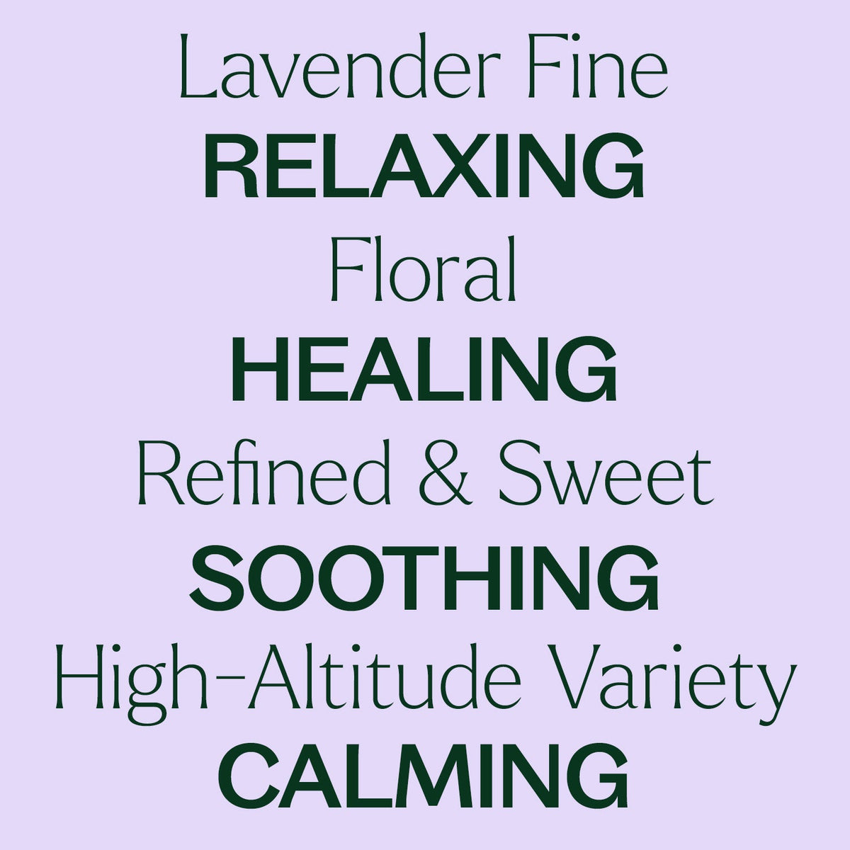 Lavender Fine Essential Oil