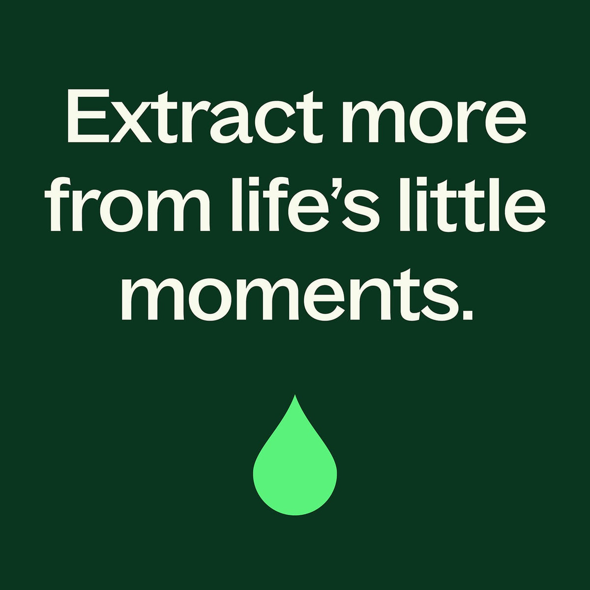 Organic Clove Bud Essential Oil