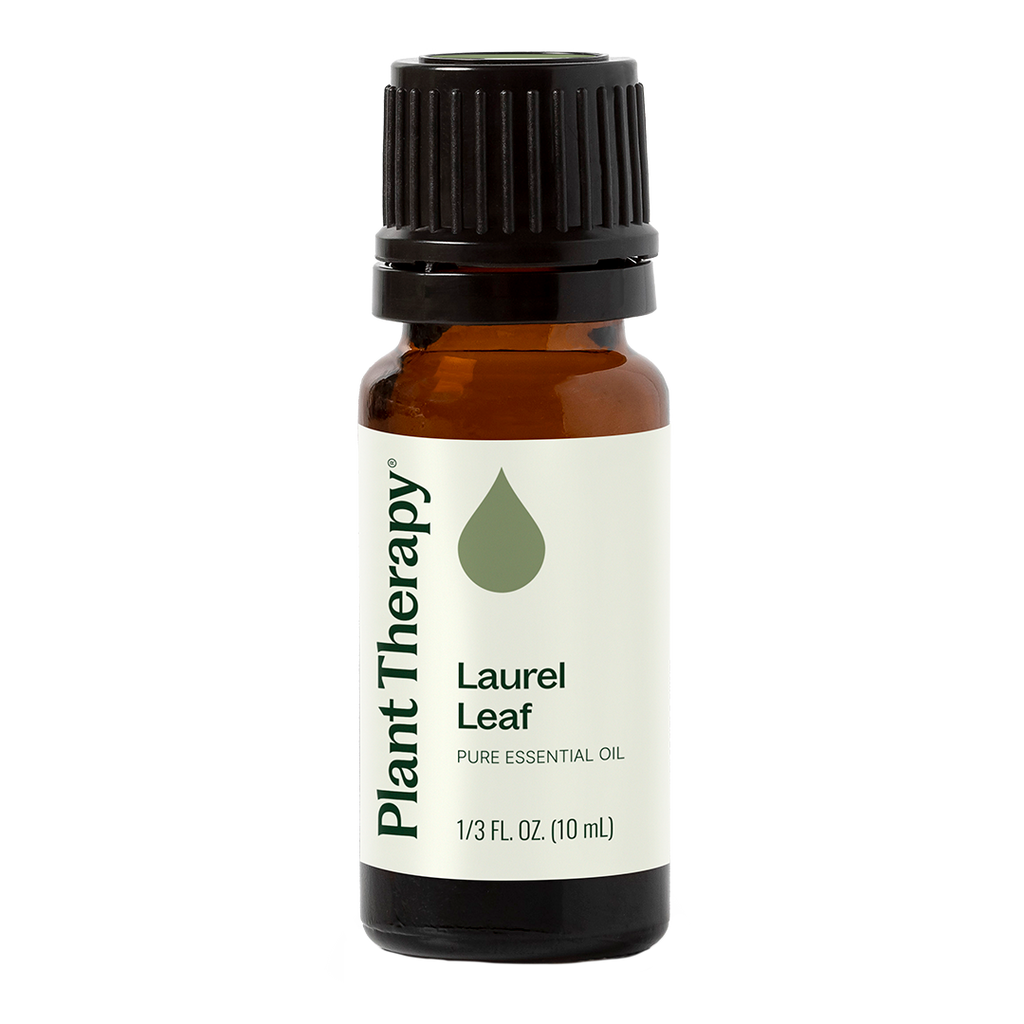 Laurel Leaf Essential Oil