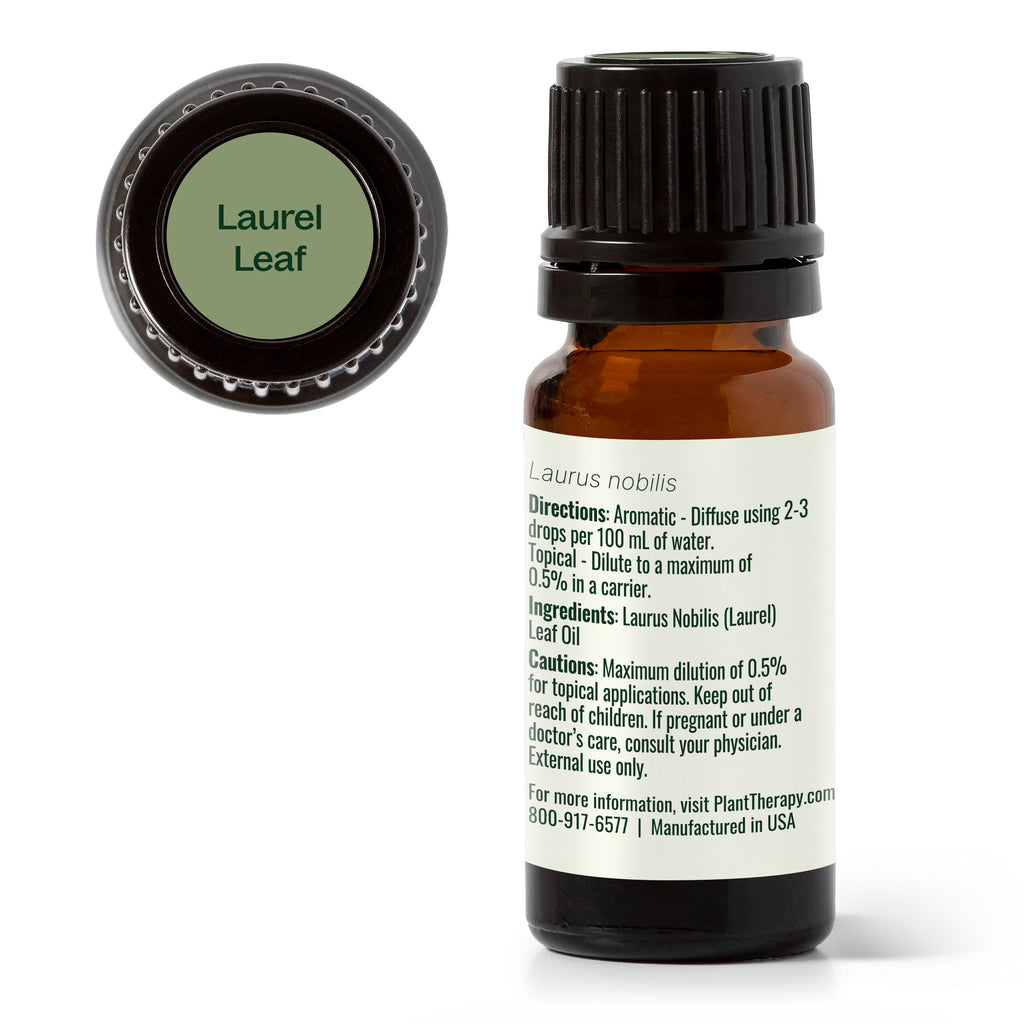 Laurel Leaf Essential Oil